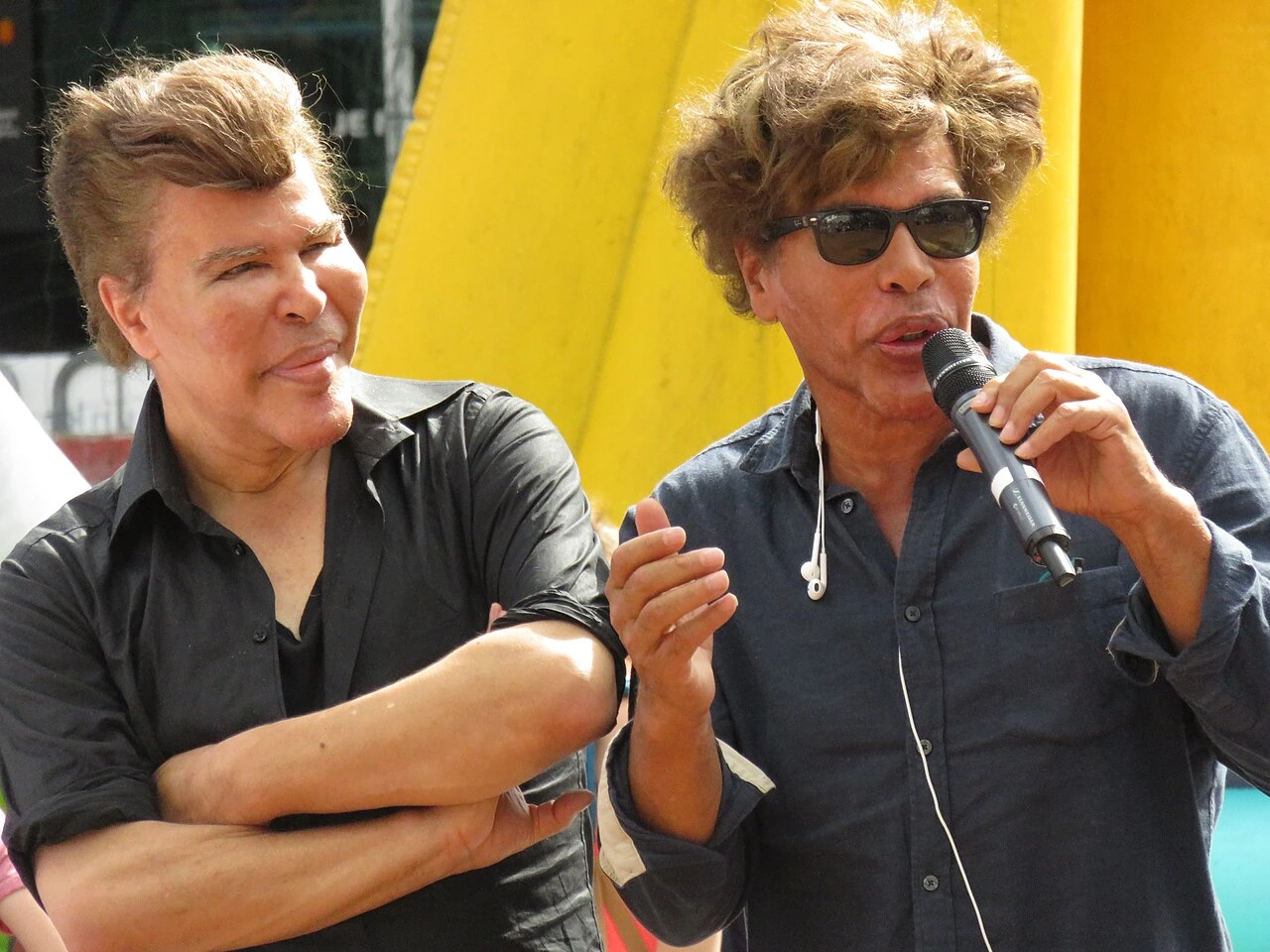 Igor and Grichka Bogdanoff speaking at an event